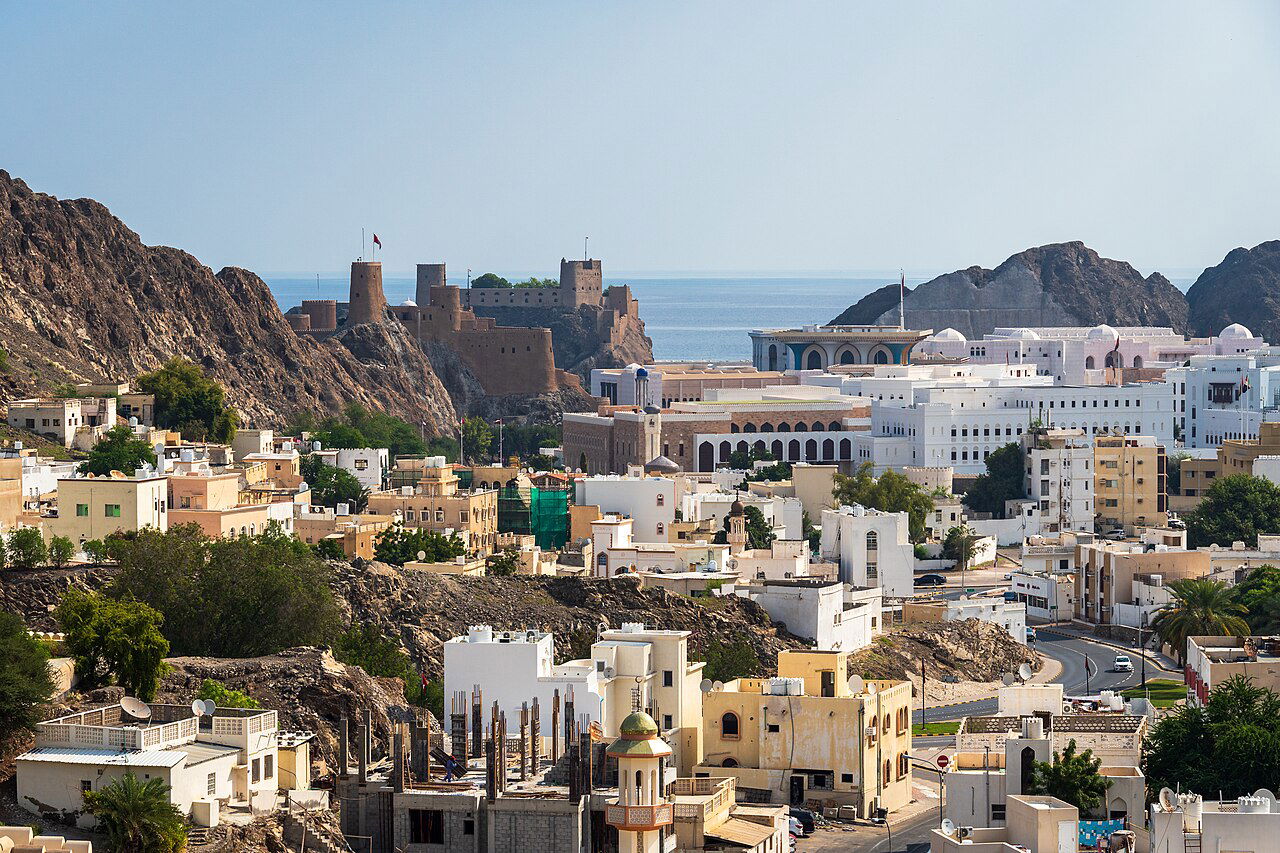 O imagine reprezentand muscat