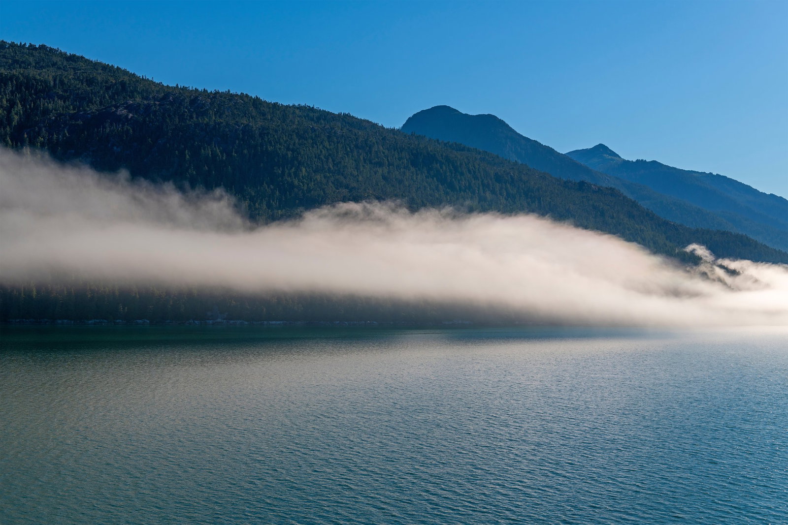 O imagine reprezentand america de nord