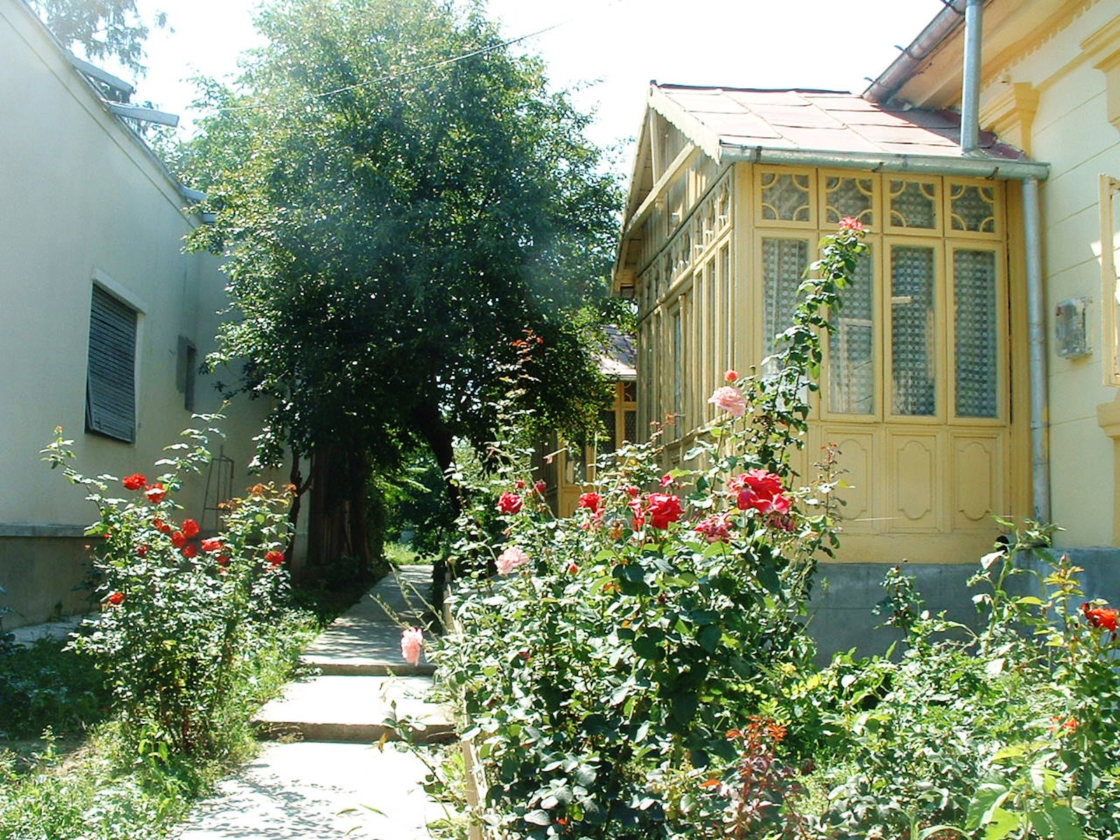 Casa Memoriala George Bacovia