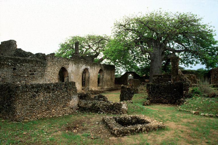 Ruinele Takwa – Insula Manda (Lamu)