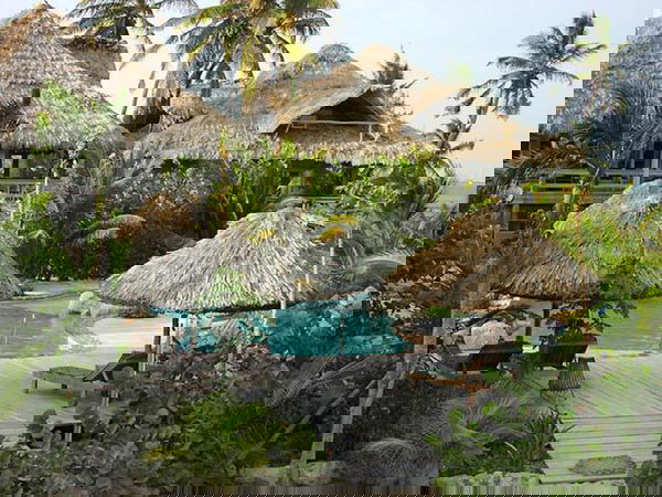 Arhitectura modernă și eco