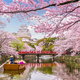 Japonia