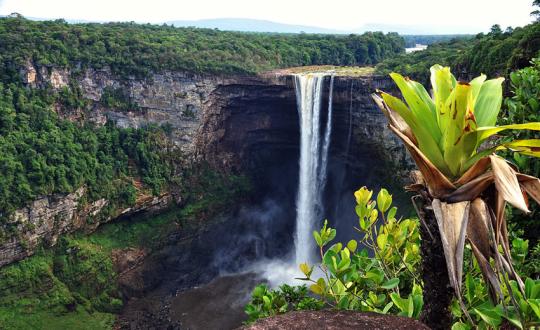 O imagine reprezentand suriname