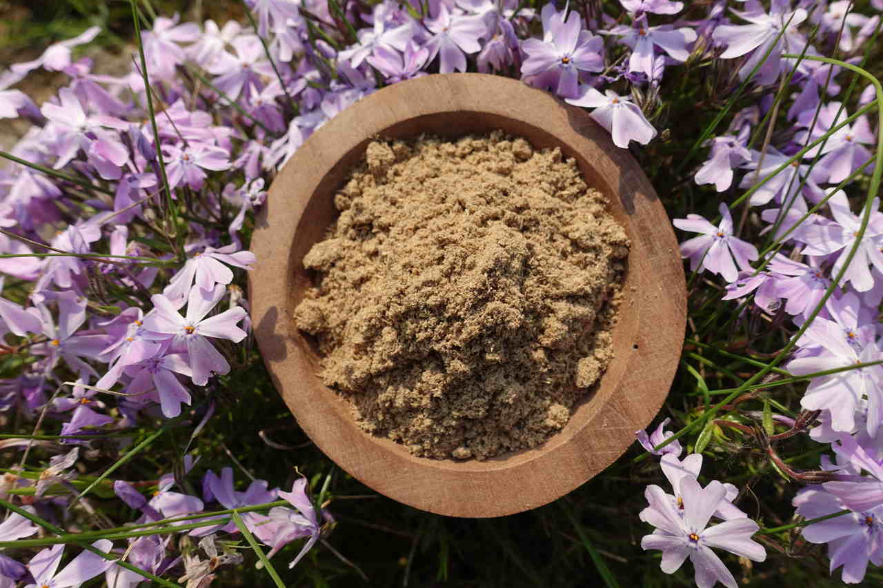 Kava