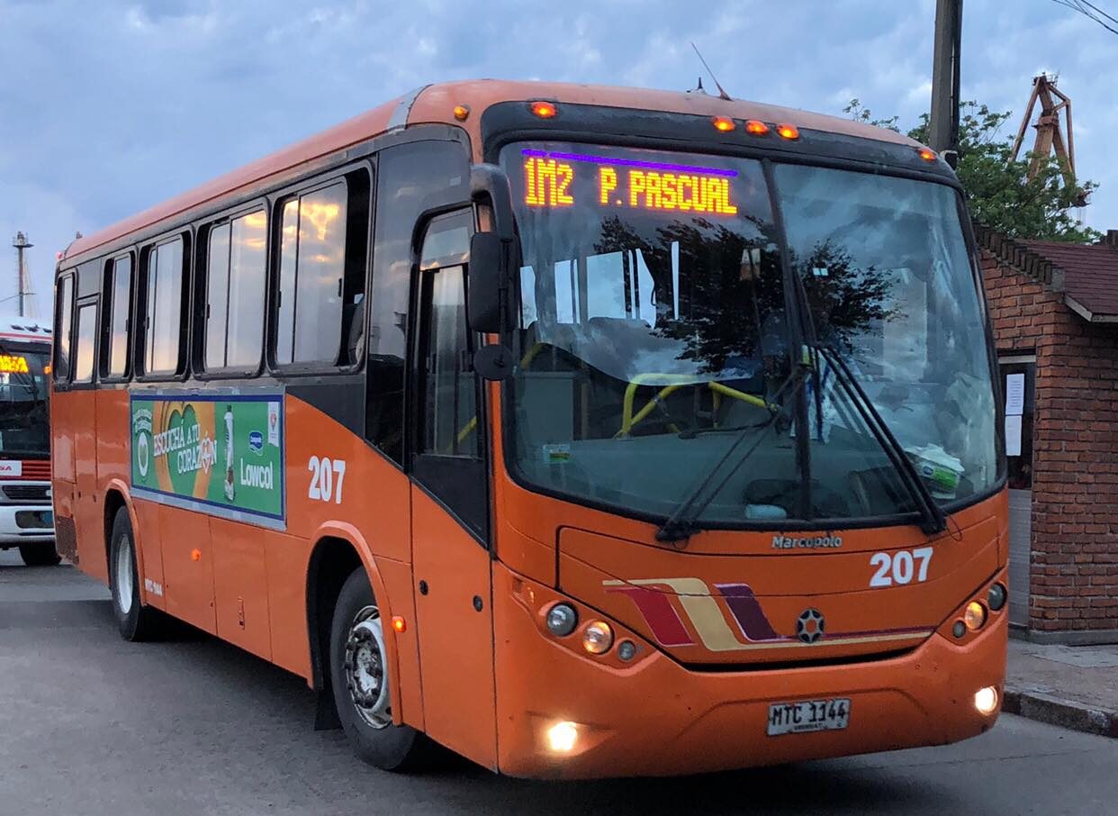 Autobuze locale