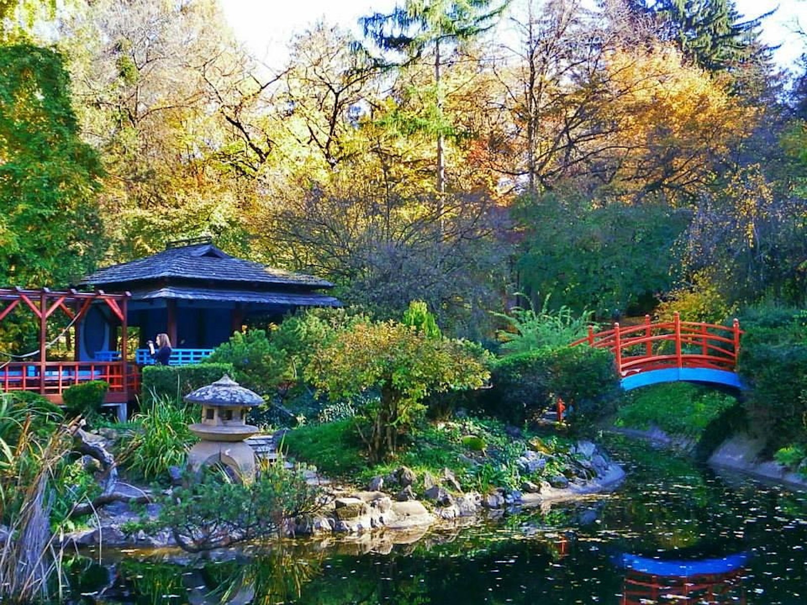Gradina Botanica „Alexandru Borza”