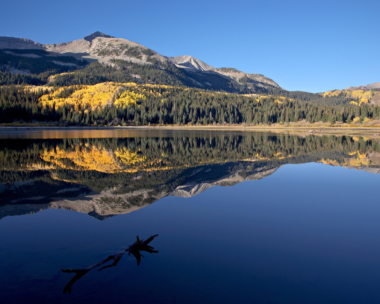 O imagine reprezentand america de nord