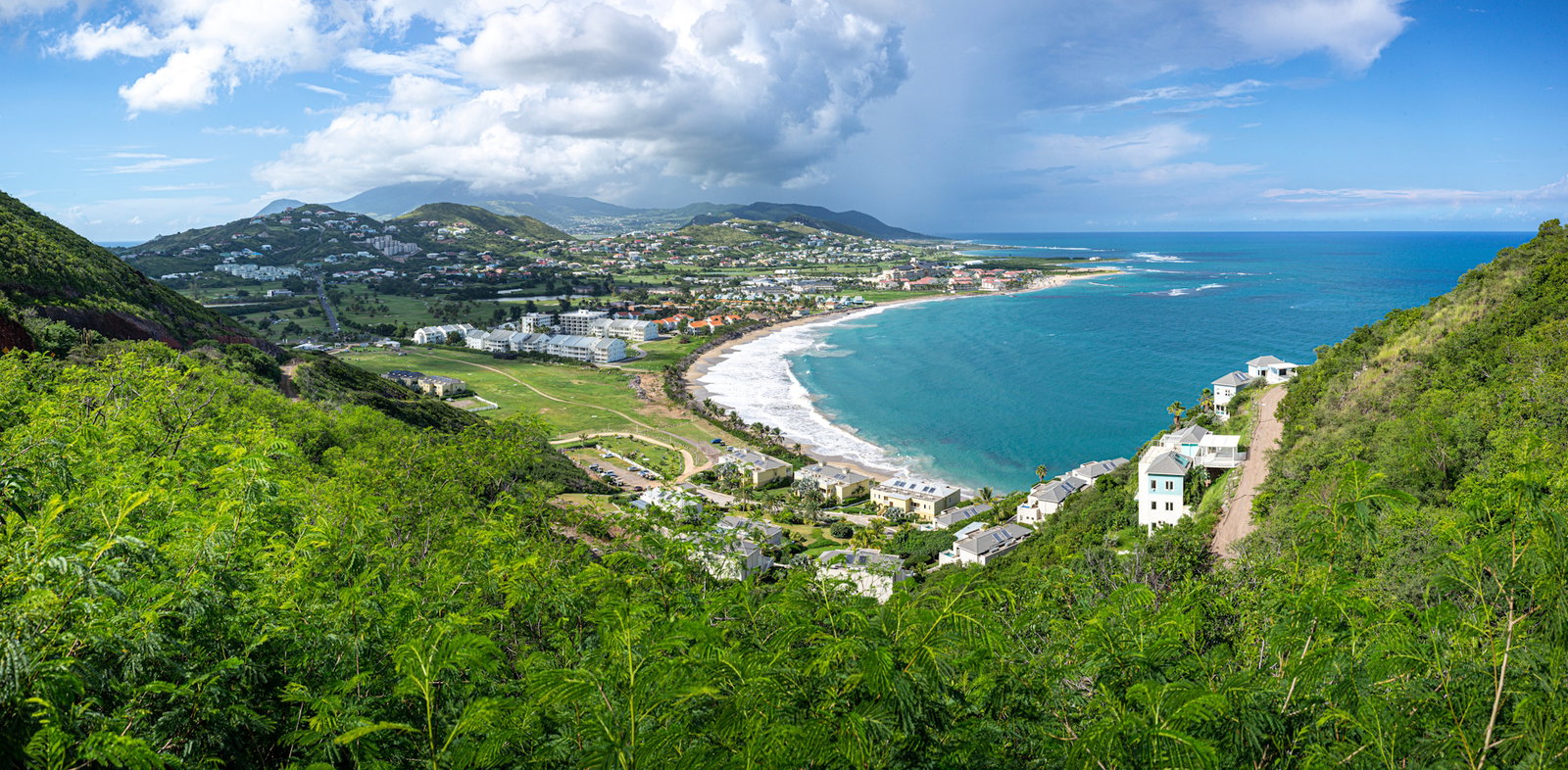 O imagine reprezentand saint kitts and nevis