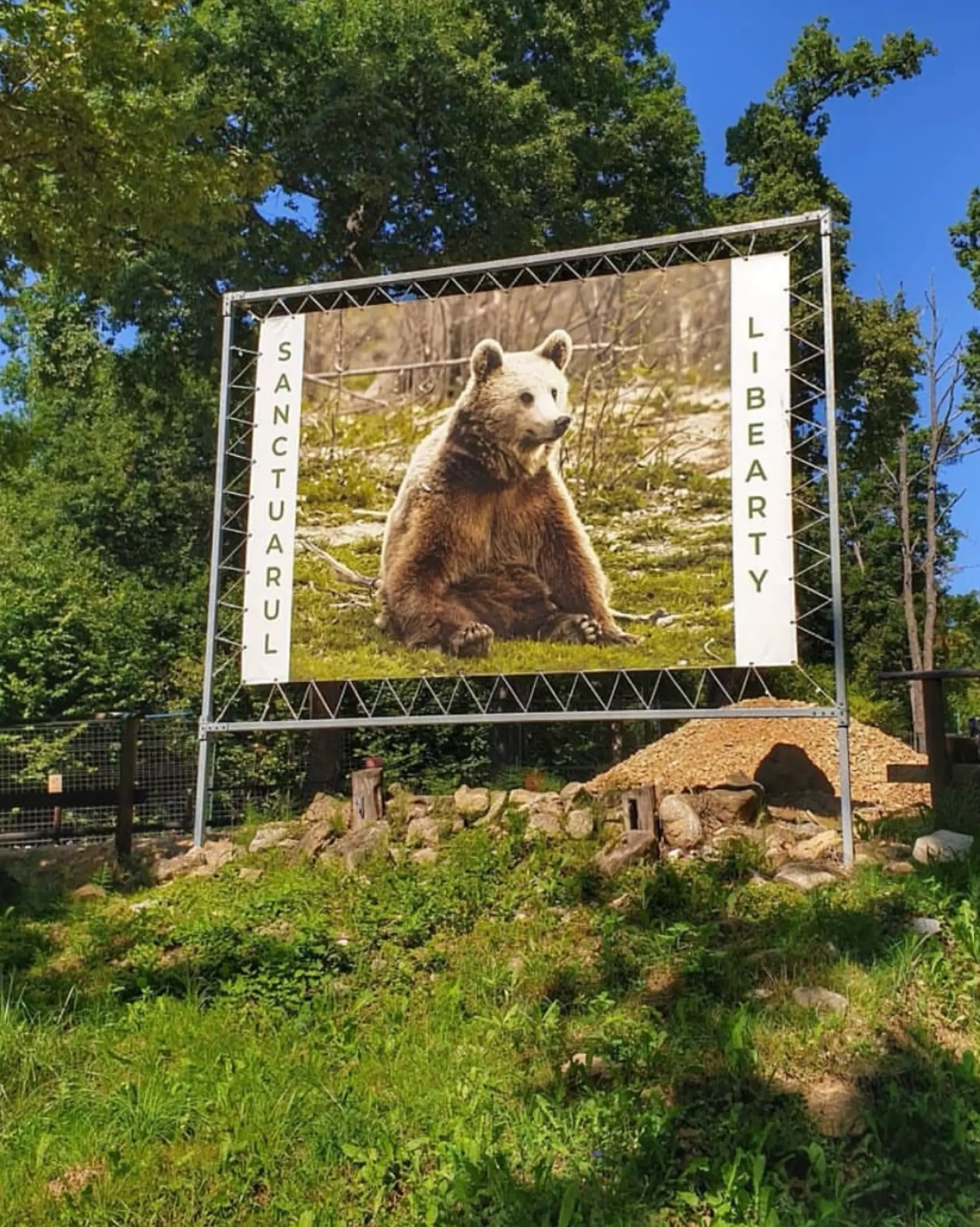 Sanctuarul de Ursi Libearty Zarnesti