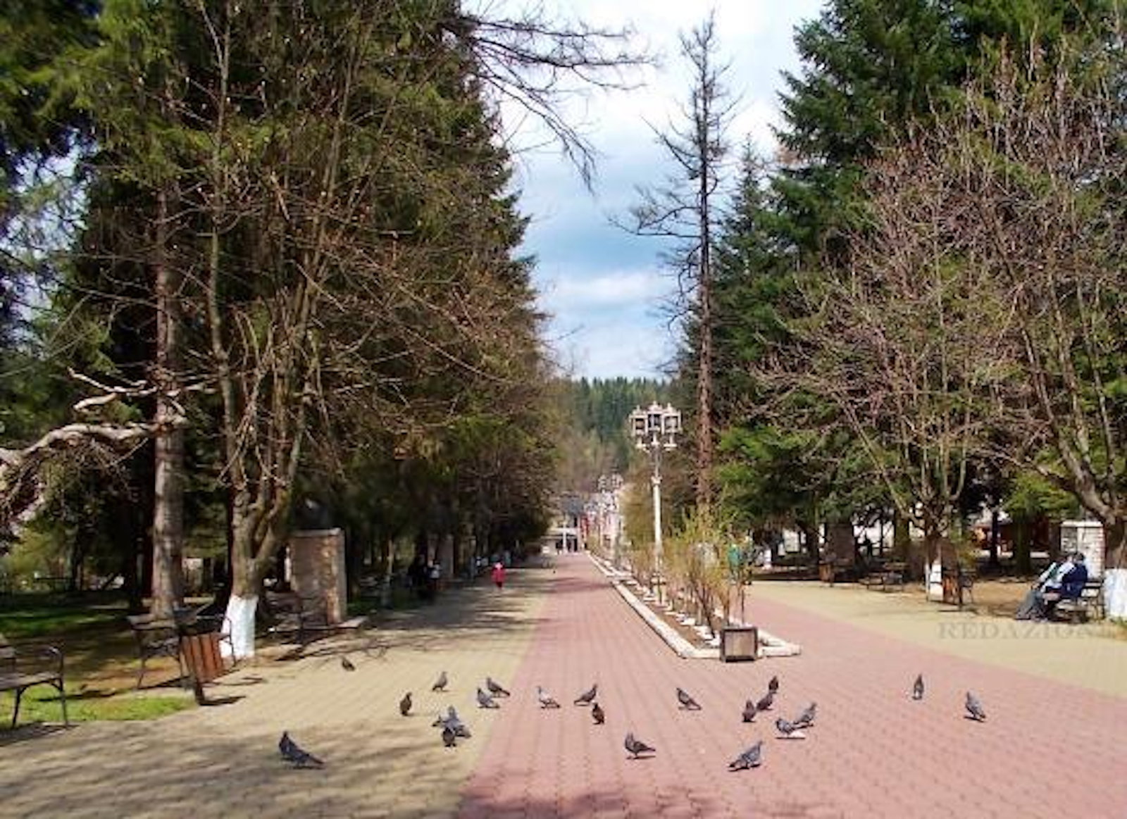 Parcul Central 