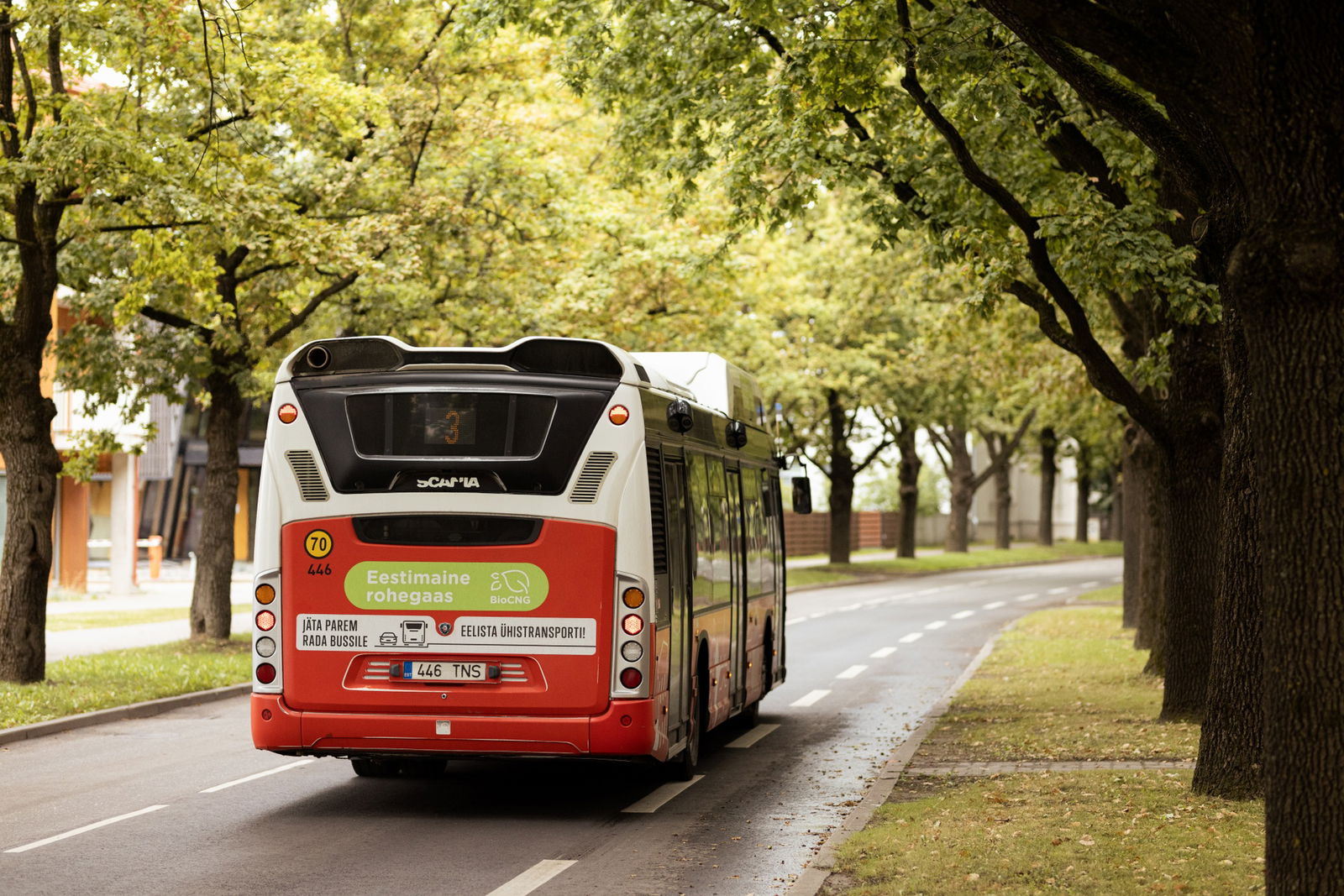 Transportul cu autobuzele