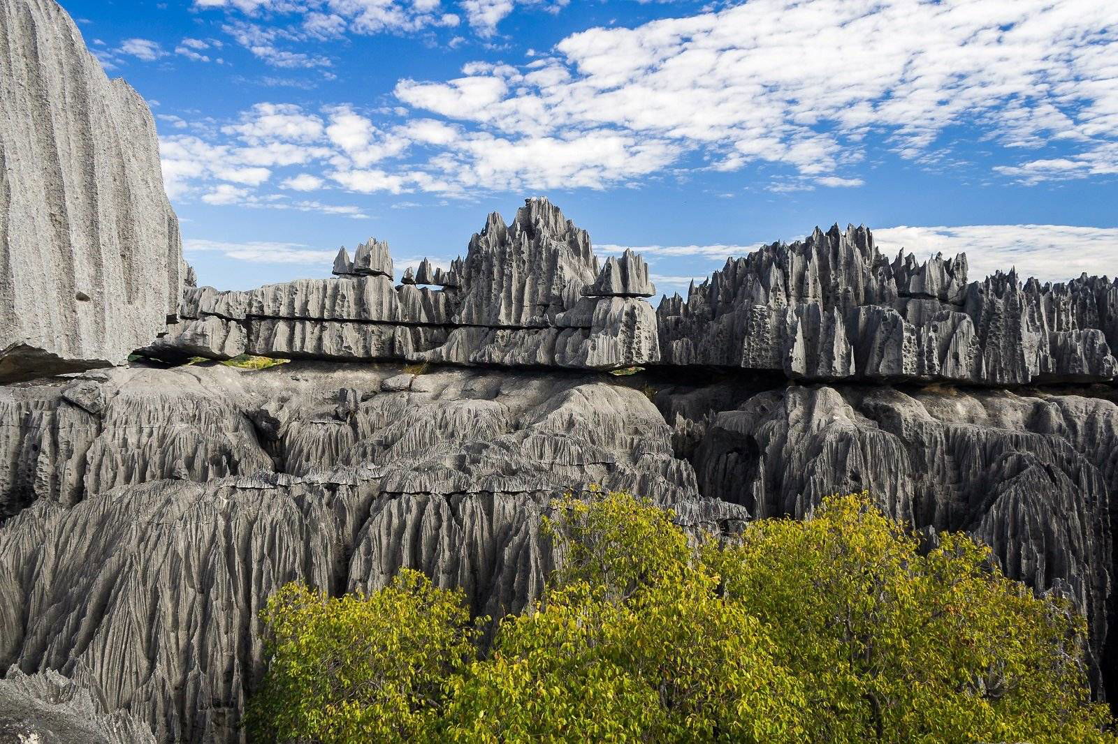 Tsingy de Bemaraha – Arhitectura naturală