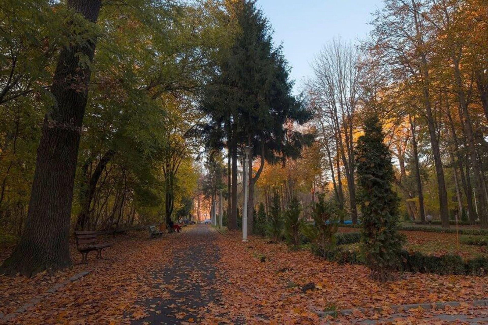 Parcul si Padurea de Stejar 