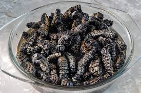 Mopane worms (Phane)