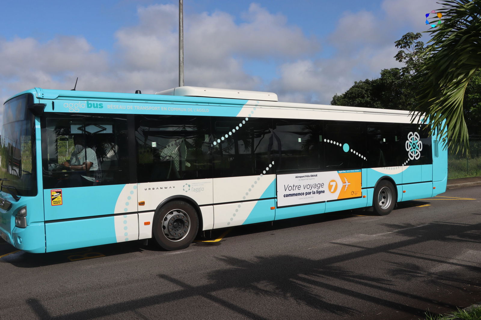 Transport public (urban & interurban)