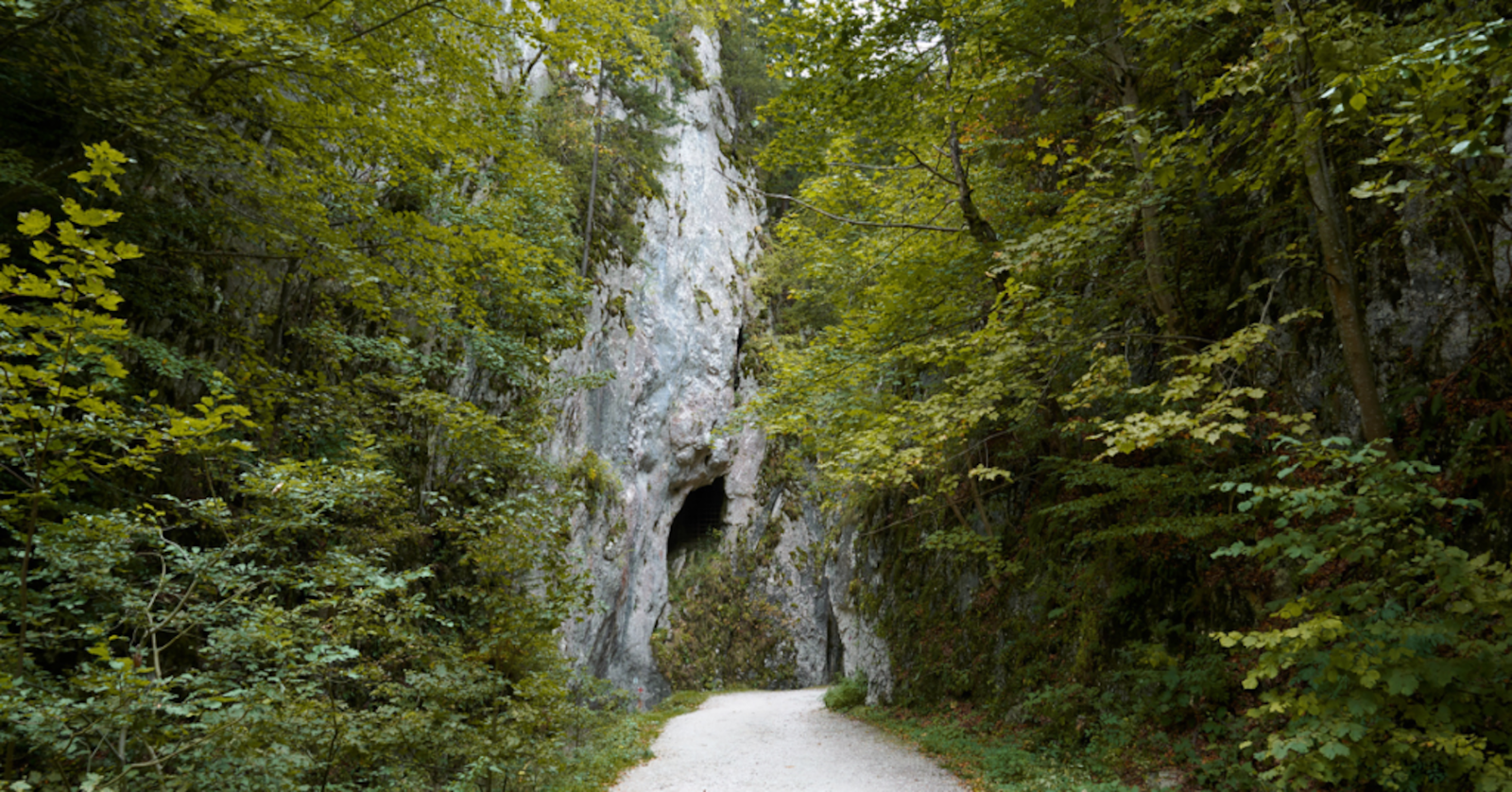 Traseele montane din Parcul National Piatra Craiului
