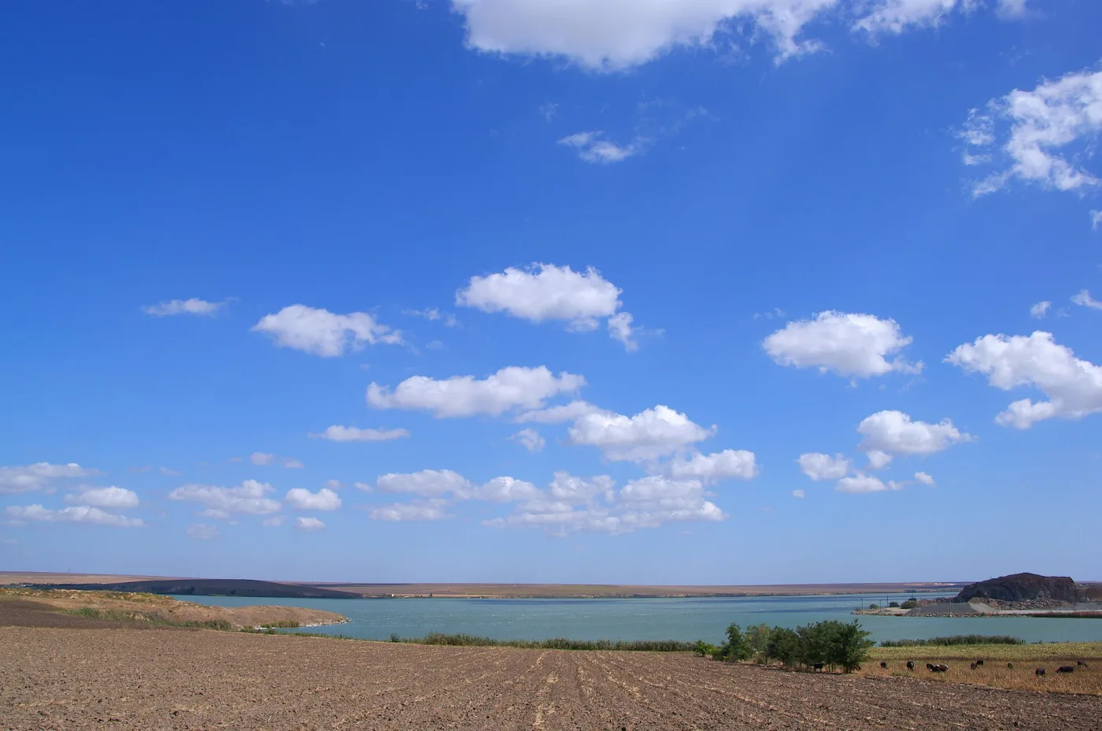 Lacul Tasaul si Portul de Agrement