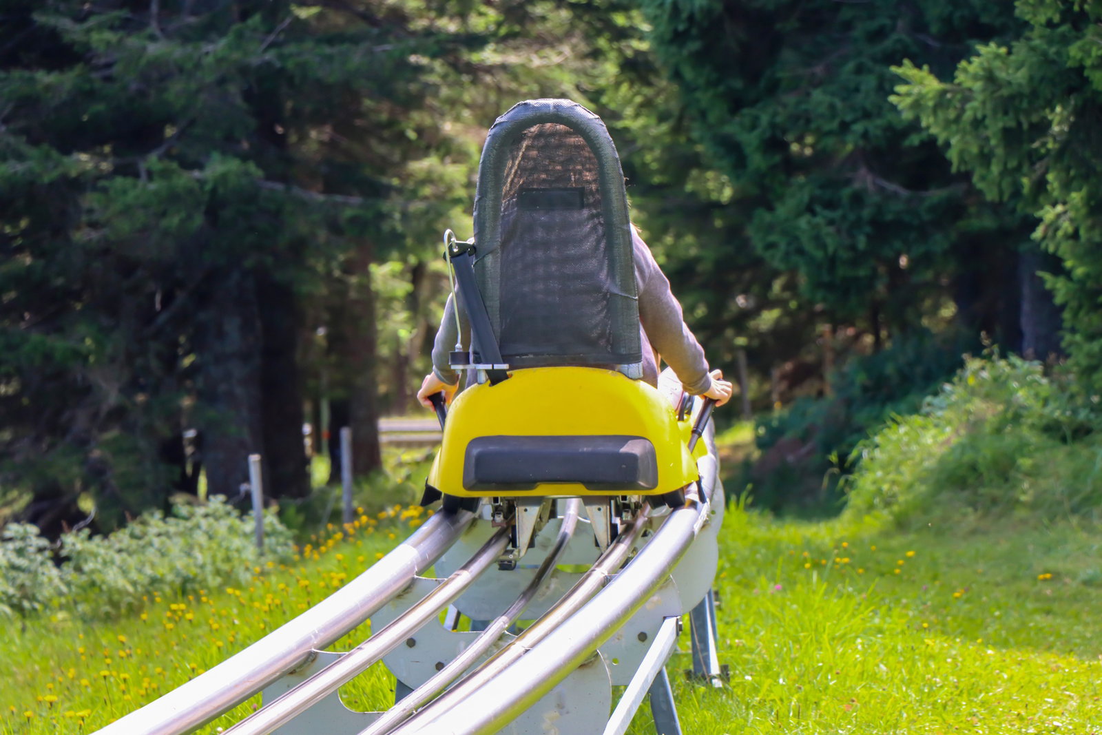 Transfagarasan Alpine Coaster & Cheile Argesului