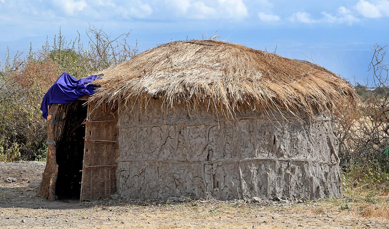 Arhitectura tradițională africană