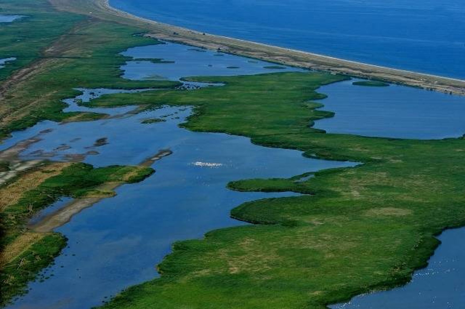 Complexul Lagunar Razim-Sinoe (Lacul Razelm)