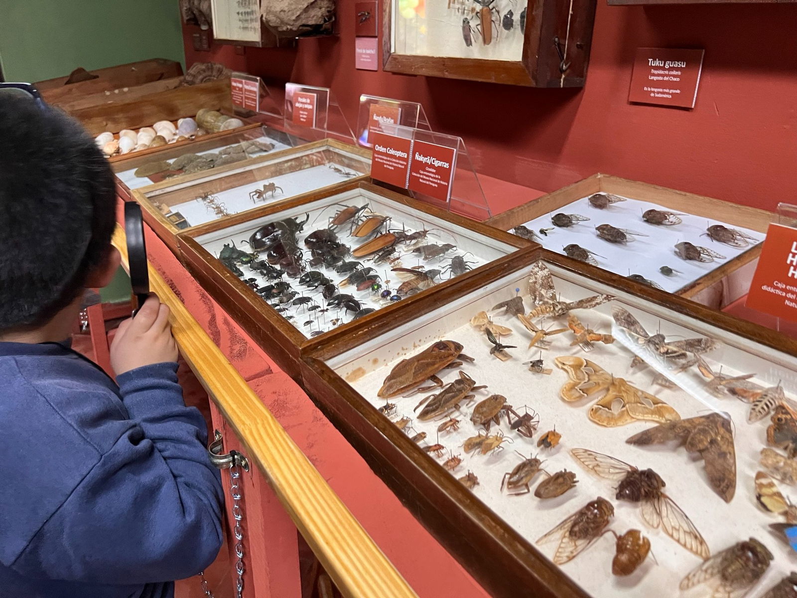 Muzeul Național de Istorie