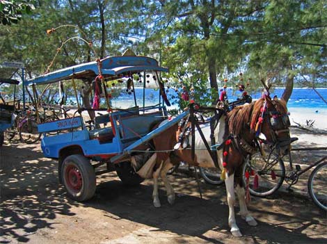 Transport tradițional