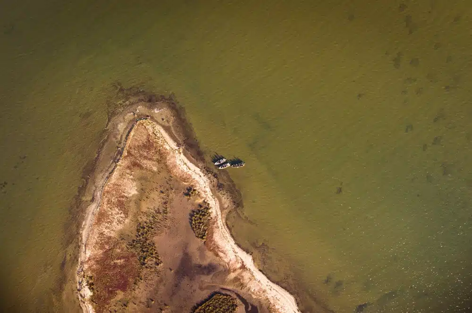 Canalele Tataru, Cernovca si Laguna Meandra Sacalin