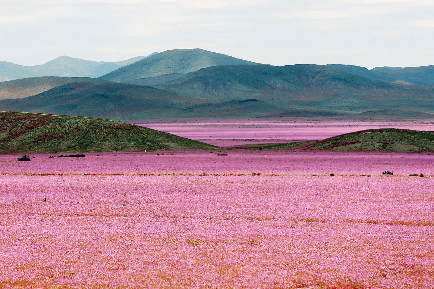 O imagine reprezentand desertul atacama