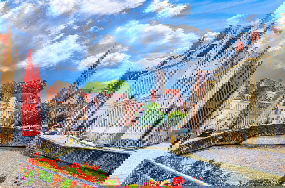 O imagine reprezentand belgia