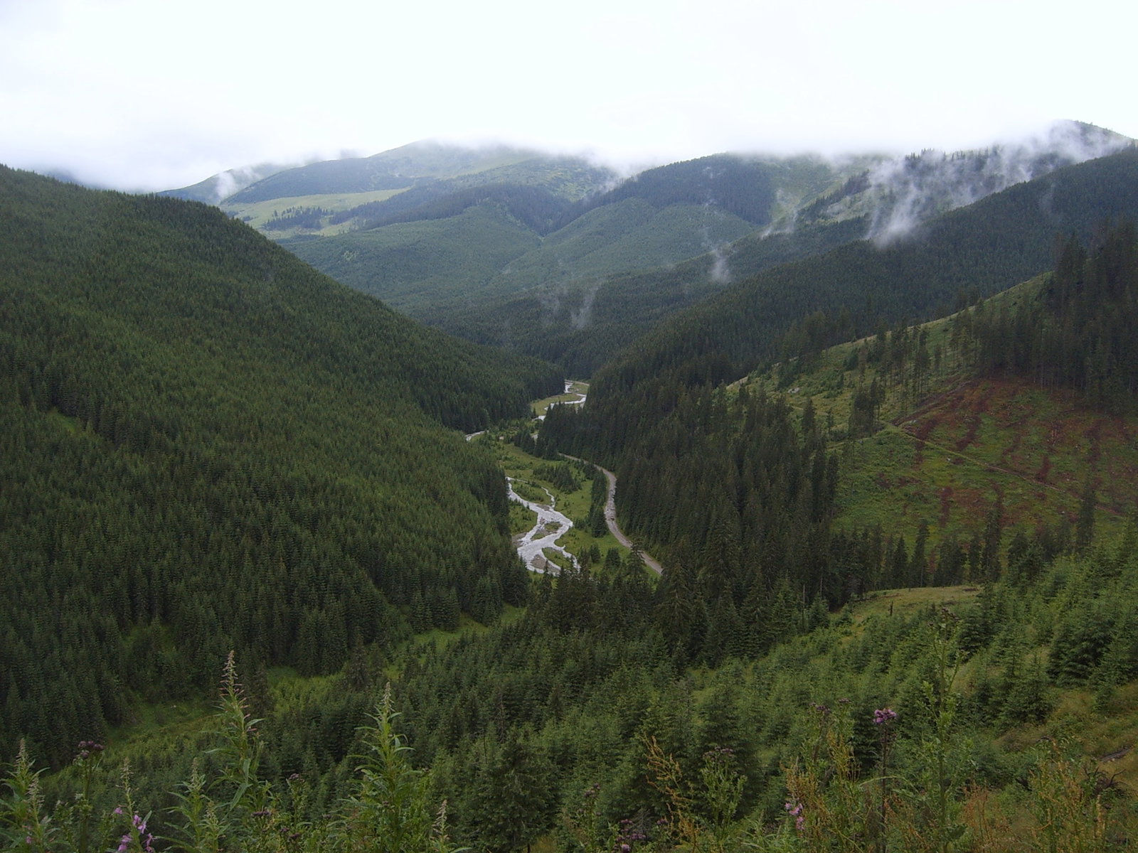 Prislop
