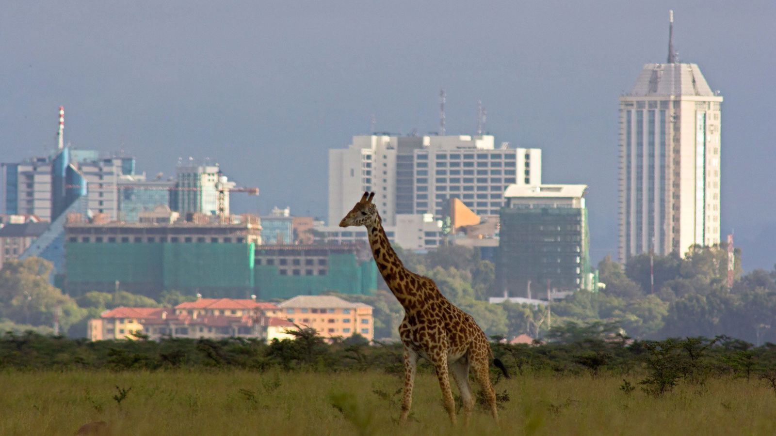 O imagine reprezentand nairobi