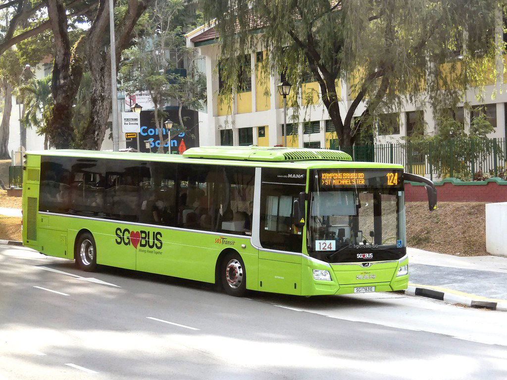 Autobuzele publice