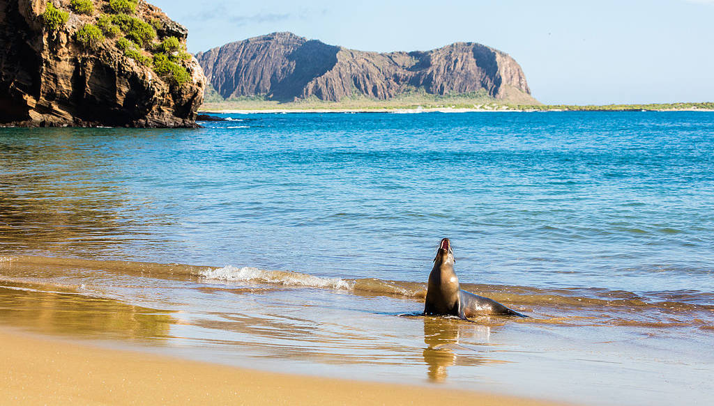 O imagine reprezentand insulele galapagos
