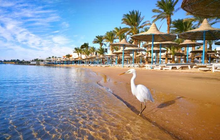 O imagine reprezentand Hurghada (regiunea)