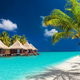 Maldive