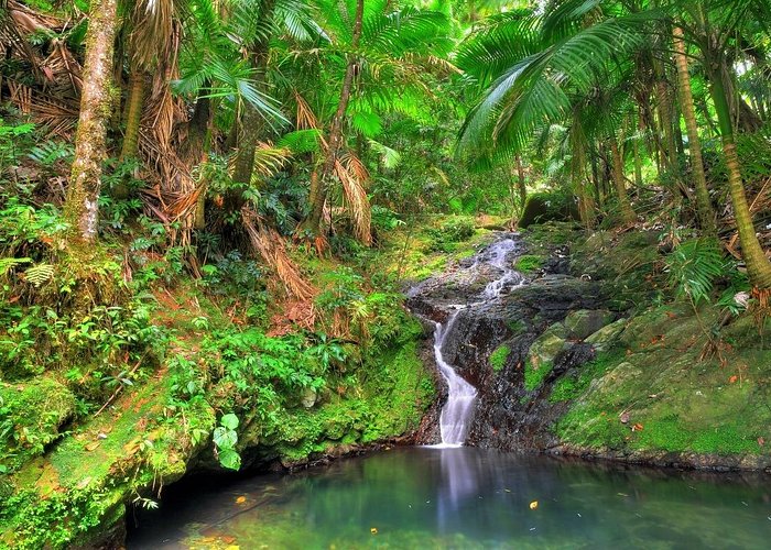 O imagine reprezentand parcuri nationale