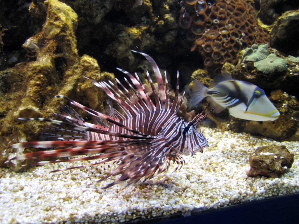 O imagine reprezentand muzeul eco-turistic