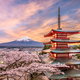 Japonia