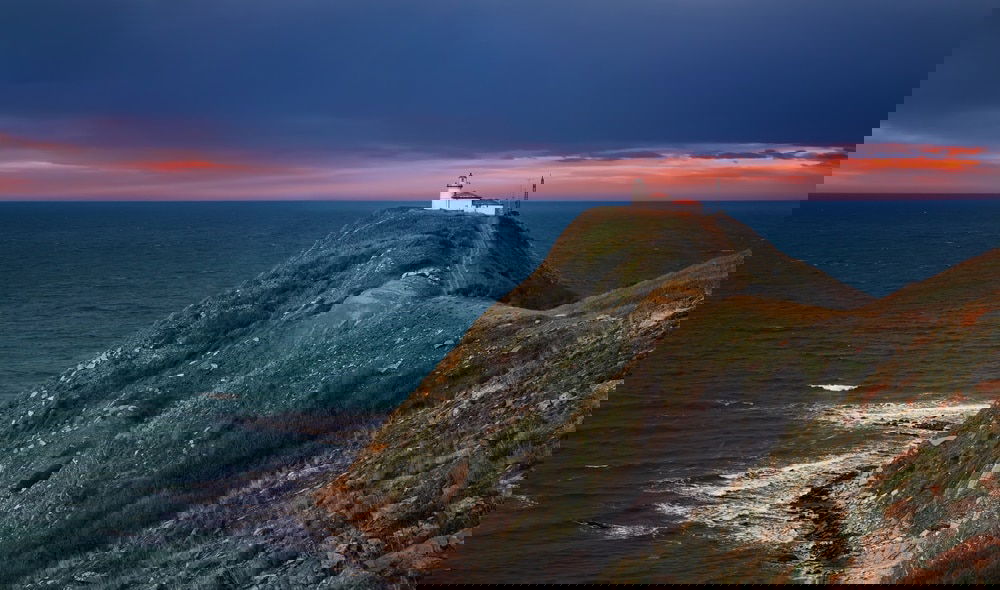 O imagine reprezentand capul emine