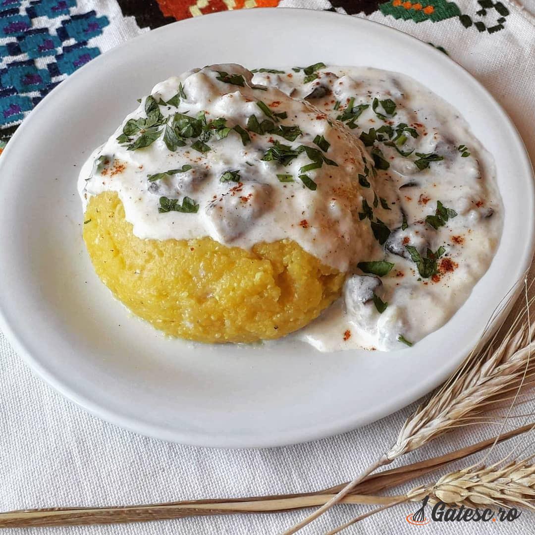 Hribi cu mămăligă