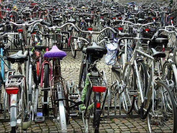 Bicicleta – „Regele drumului” în Olanda
