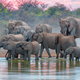 Croaziere Africa de Sud