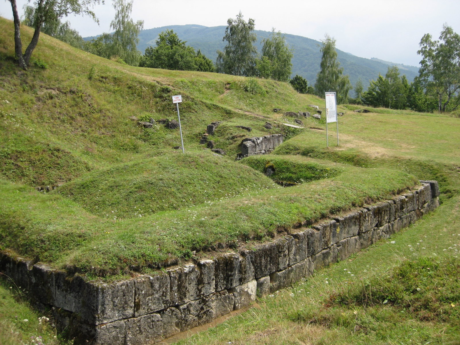 Cetatea Dacica (Cetatea Zanelor)