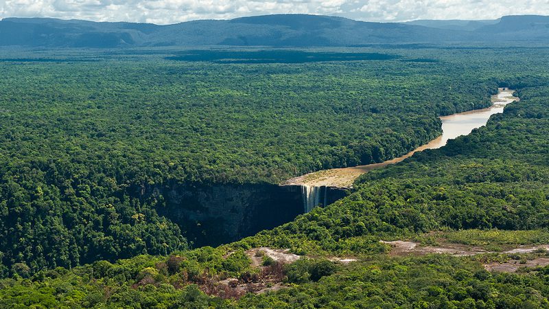 O imagine reprezentand guyana