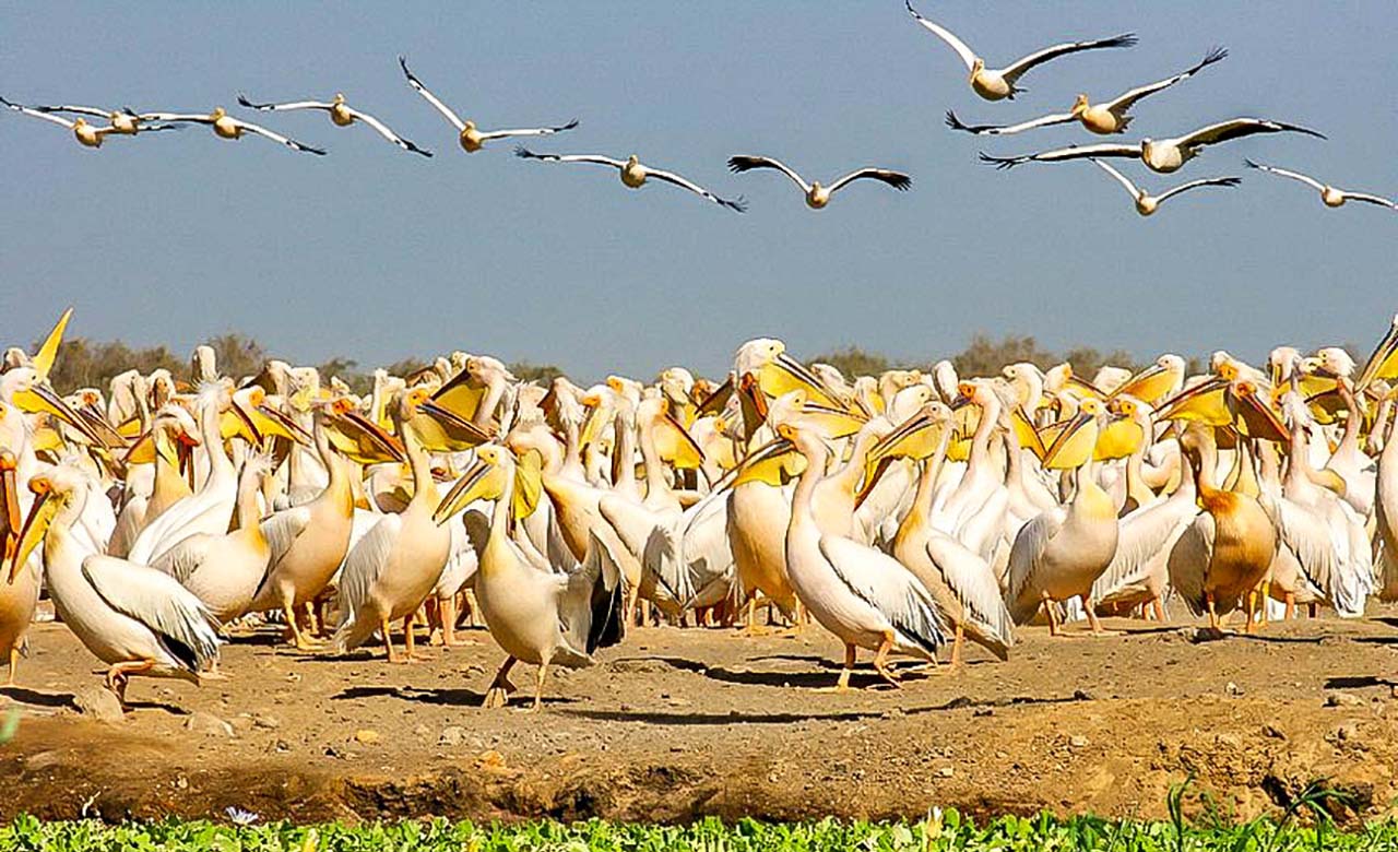 O imagine reprezentand parcuri nationale