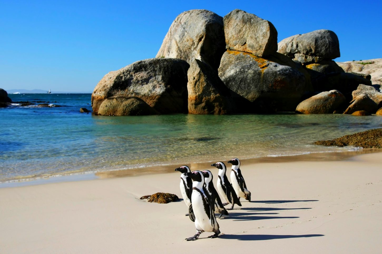 O imagine reprezentand plaje