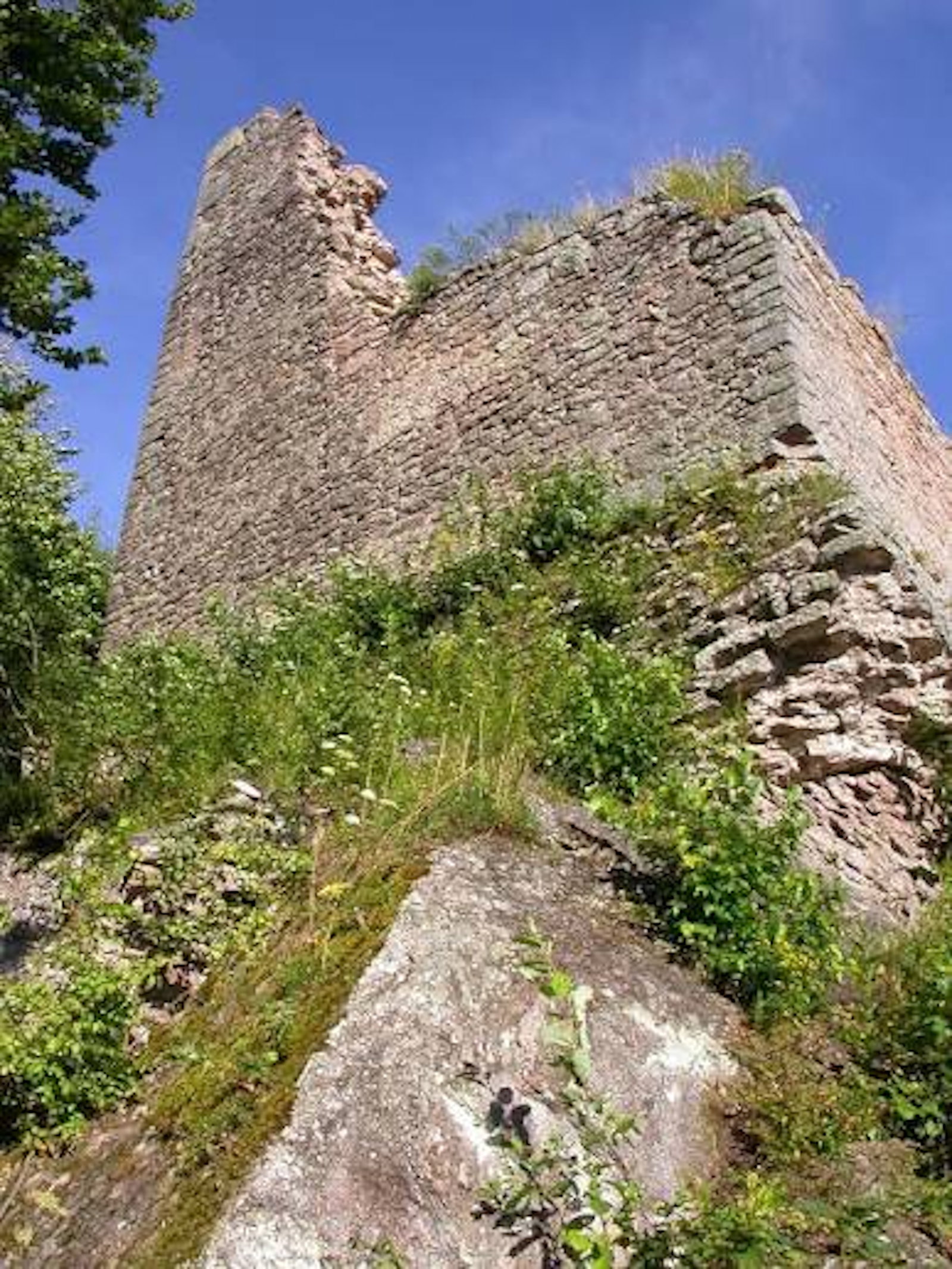 Cetatea Balvanyos