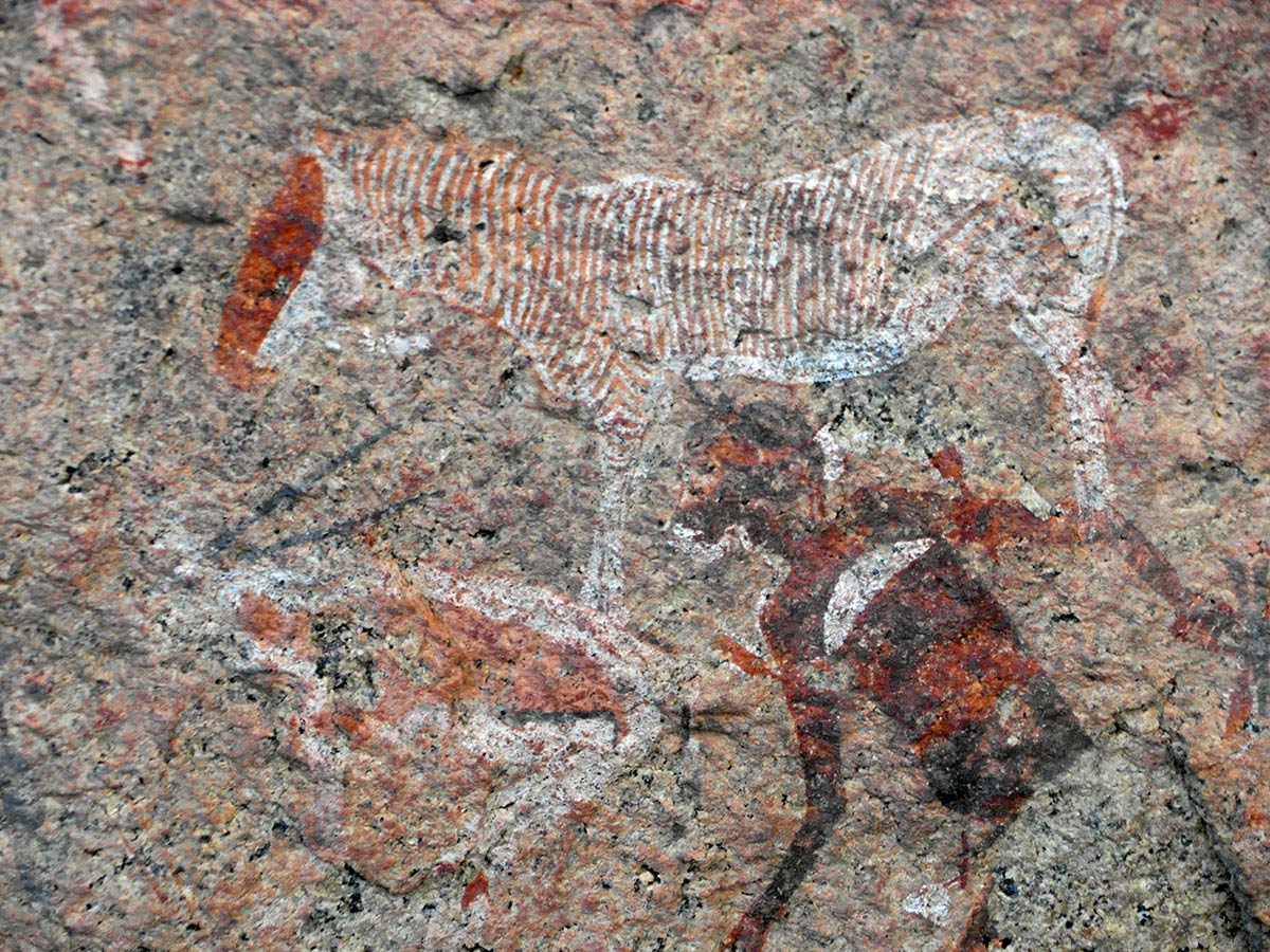 Situri cu picturi rupestre (Rock Art)