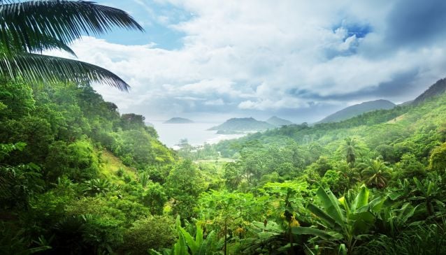 O imagine reprezentand parcuri nationale