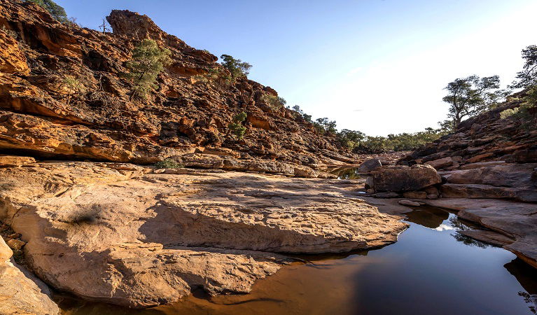 Mutawintji National Park